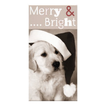 HundeweihnachtsFotokarte