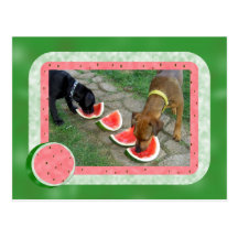 Hundstage des Sommers Postkarte