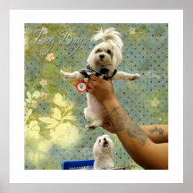 Hundstage Plakatdruck