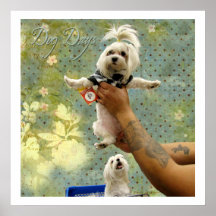 Hundstage Plakate