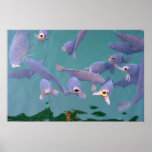 Hungrige Fische Posterdrucke