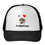 Hut Igel der Liebe I Kult Cap
