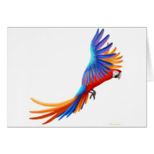 Hybride Camelot Macaw-Karte