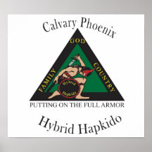 Hybrides Hapkido Verein-Plakat