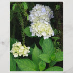 Hydrangea im Wald Flyerdruck
