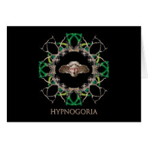 Hypnos Turbulenzkarte
