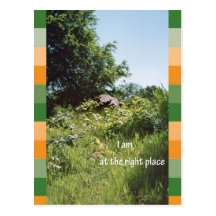 I am at the right place postkarte