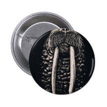 I am the walrus. button