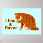 I hat ein Aroma, Lol Katzen-Plakat