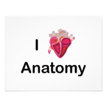 I Liebe-Anatomie mit menschlichem Herzen! Ankündigung