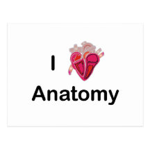 I Liebe-Anatomie mit menschlichem Herzen! Postkarten