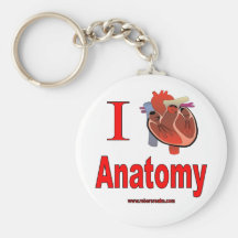I Liebe-Anatomie Schlüsselbänder