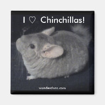 I Liebe-Chinchillas Magnete