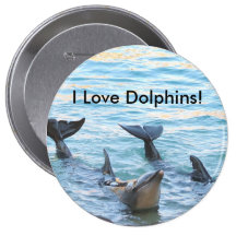 I Liebe-Delphine! Delphin-Foto Button