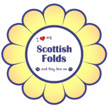 I Liebe, die mein Scottish sich faltet (mehrfache  Photoskulpturen
