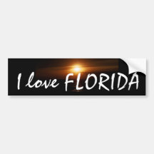 I Liebe FLORIDA-Stoßaufkleber Auto Sticker