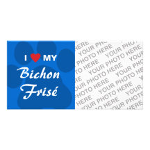 I Liebe (Herz) mein Bichon Frise Personalisierte Foto Karte