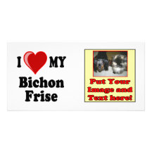I Liebe (Herz) mein Bichon Frise Hund Fotokarten