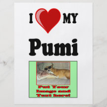 I Liebe (Herz) mein Pumi Hund Personalisierte Flyer