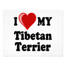 I Liebe (Herz) mein tibetanischer Terrier-Hund Individuelle Ankündigungskarte