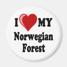 I Liebe (Herz) meine norwegische Waldkatze Magnete