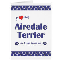 I Liebe mein Airedale-Terrier (weiblicher Hund) Grußkarten