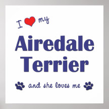 I Liebe mein Airedale-Terrier (weiblicher Hund) Plakate