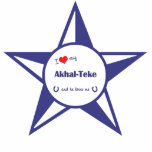 I Liebe mein Akhal-Teke (männliches Pferd) Photo Statuen