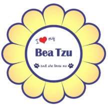 I Liebe mein Bea Tzu (weiblicher Hund) Foto Figuren