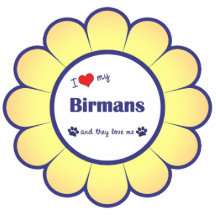 I Liebe mein Birmans (mehrfache Katzen) Photostatuen