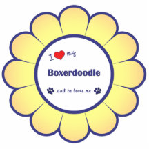 I Liebe mein Boxerdoodle (männlicher Hund) Fotostatuen
