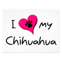 I Liebe mein Chihuahua Ankündigungen
