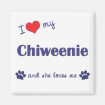 I Liebe mein Chiweenie (weiblicher Hund) Kühlschrankmagnete