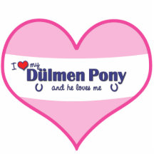 Dulmen Pony