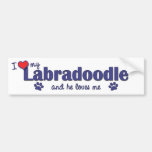 I Liebe mein Labradoodle (männlicher Hund) Autoaufkleber
