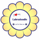 I Liebe mein Labradoodle (männlicher Hund) Fotoausschnitte