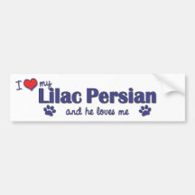 I Liebe mein lila Perser (männliche Katze) Autoaufkleber