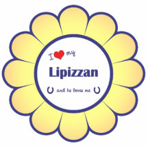 I Liebe mein Lipizzan (männliches Pferd) Foto Skulpturen