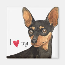 I Liebe mein MiniaturPinscher Kühlschrankmagnete