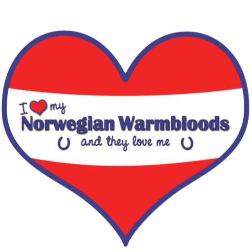 I Liebe mein norwegisches Warmbloods (mehrfache Pf Foto Ausschnitte