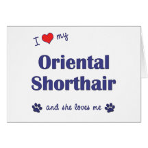 I Liebe mein orientalisches Shorthair (weibliche K Grußkarten