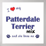 I Liebe mein Plakat der Patterdale Terrier-Mischun