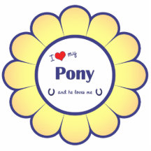 I Liebe mein Pony (männliches Pony) Acrylausschnitt