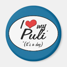 I Liebe mein Puli (es ist ein Hund) Magnete