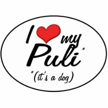 I Liebe mein Puli (es ist ein Hund) Photostatue