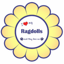 I Liebe mein Ragdolls (mehrfache Katzen) Photoausschnitte