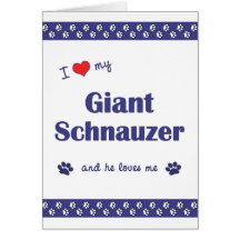 I Liebe mein riesiger Schnauzer (männlicher Hund) Karten