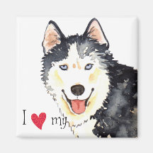 I Liebe mein Schlittenhund Kühlschrankmagnete