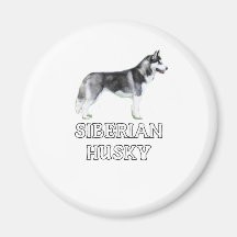 I Liebe mein sibirischer Schlittenhund Magnets