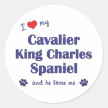 I Liebe mein unbekümmerter Königcharles Spaniel (m Sticker